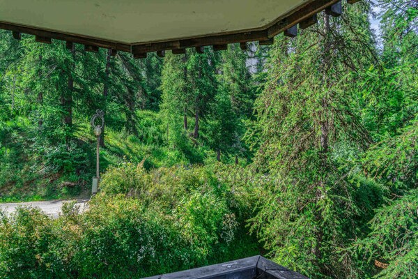 Foto van Appartement in Les Orres vlakbij lariksbos - Vakantiehuis in LES ORRES - Untagged