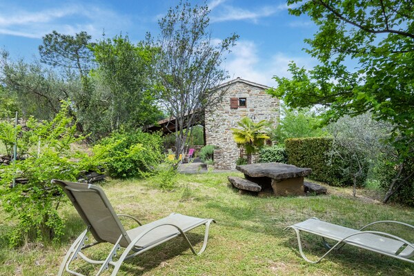 Foto van Ontspannend familieverblijf in Les Vans - Vakantiehuis in Les Vans - GardenSummer