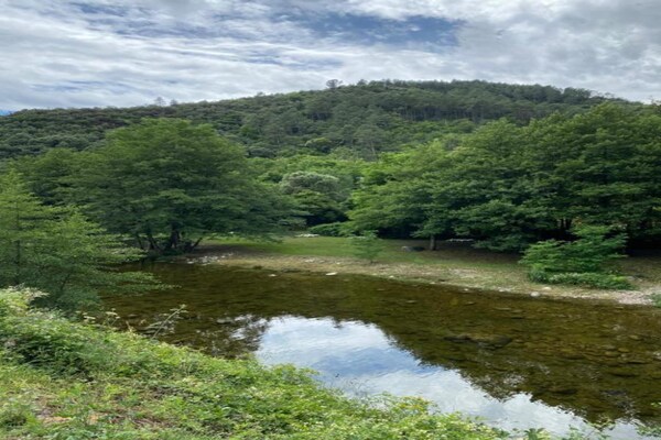 Foto van Authentieke stenen Mas Retreat - Vakantiehuis in LES ASSIONS - AreaSummer20KM