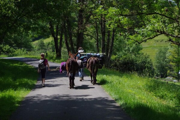 Foto van Glamping in Signy-l'Abbaye - Vakantiehuis in Signy-l’Abbaye - AreaSummer20KM