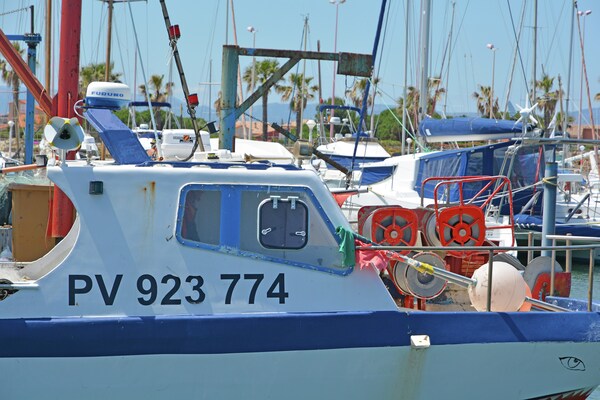 Foto van Boerderij in Languedoc met Zwembad & Wijngaard - Vakantiehuis in Rieux-Minervois - AreaSummer20KM