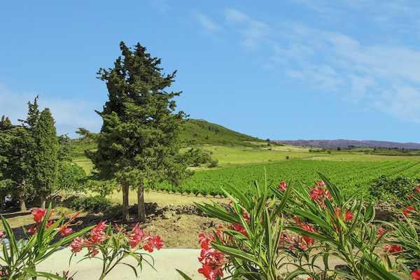 Foto van Serene familie-ontsnapping - Vakantiehuis in Villesèque-des-Corbières - AreaSummer1KM