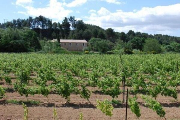 Foto van Vakantiehuis in Montbrun met Zwembad & Wijngaarden - AreaSummer20KM