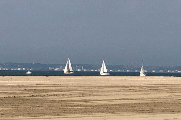 Foto van Huis voor 18 personen met bioscoop Place Morny - Vakantiehuis in Deauville - 