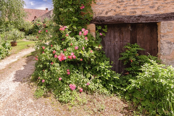 Foto van Vakantiehuis in Dordogne bij Lascaux - Vakantiehuis in Les Eyzies-De-Tayac-Sireuil - AreaSummer1KM