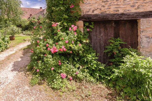 Foto van Landgoed in de Dordogne nabij Sites - Vakantiehuis in Les Eyzies-De-Tayac-Sireuil - AreaSummer1KM