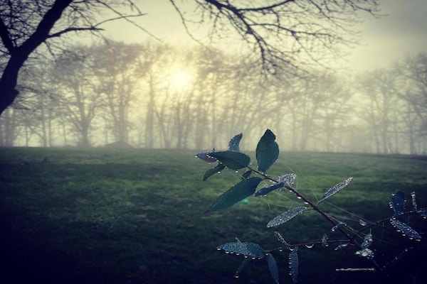 Foto van Landgoed in de Dordogne nabij Sites - Vakantiehuis in Les Eyzies-De-Tayac-Sireuil - AreaSummer20KM