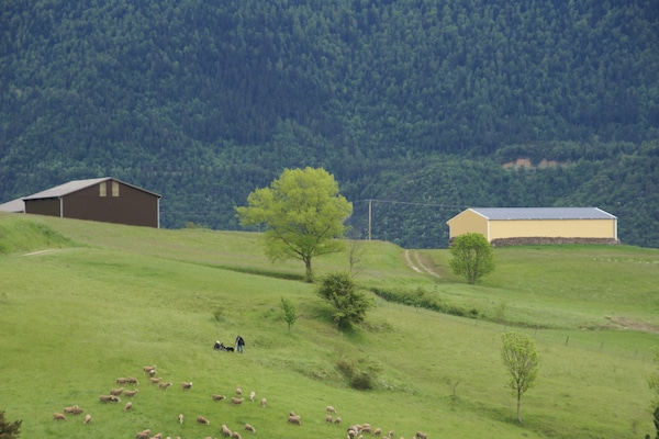 Foto van Hoogtepunten van natuur en avontuur - Vakantiehuis in Lus-La Croix-Haute - AreaSummer1KM