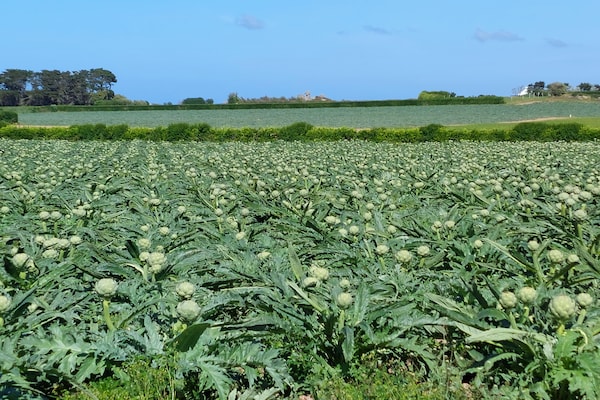Foto van Vakantiehuis in Sibiril vlakbij zandstranden - Vakantiehuis in Sibiril - AreaSummer1KM