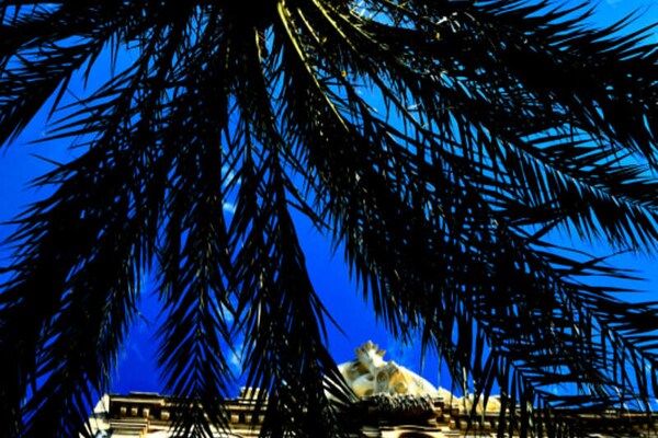 Foto van Appartementen voor 4 personen - Vakantiehuis in LE GRAU DU ROI - Untagged