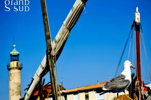 Foto van Appartementen voor 4 personen - Vakantiehuis in LE GRAU DU ROI - Untagged