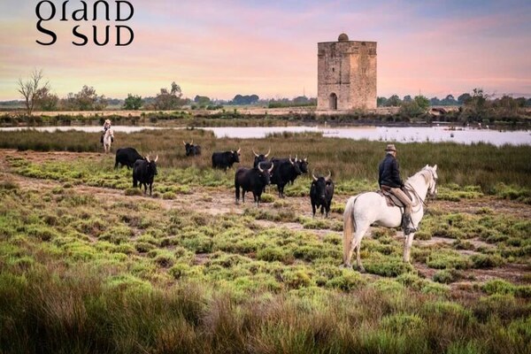 Foto van Appartementen voor 4 personen - Vakantiehuis in LE GRAU DU ROI - Untagged