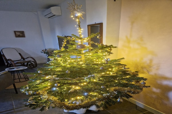 Foto van Appartement met zwembad - Vakantiehuis in Saint-Hilaire-de-Brethmas - Ambiance