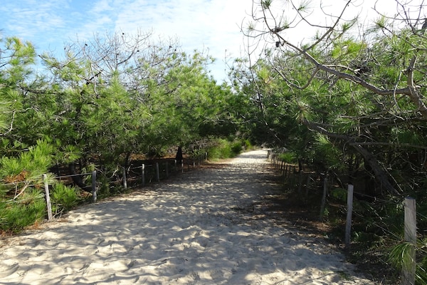 Foto van Huis in Margaux met Zoutwaterzwembad & Wijn - Vakantiehuis in Margaux - AreaSummer20KM