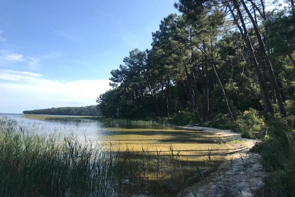 Foto van Verblijf aan het meer met terras - Vakantiehuis in Hourtin - AreaSummer1KM