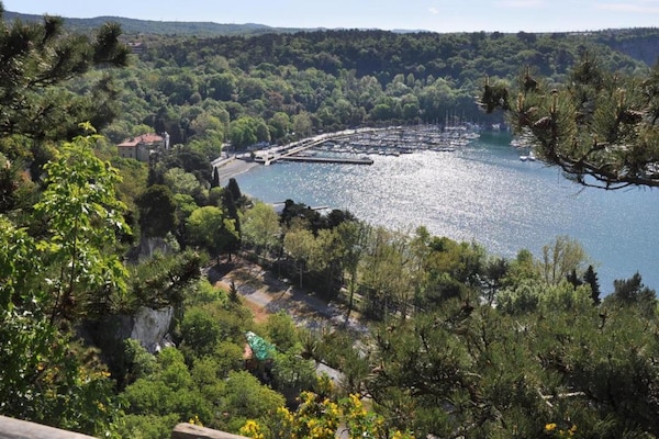 Foto van Gezellig chalet voor jou & Tails - Vakantiehuis in Auris - AreaSummer20KM