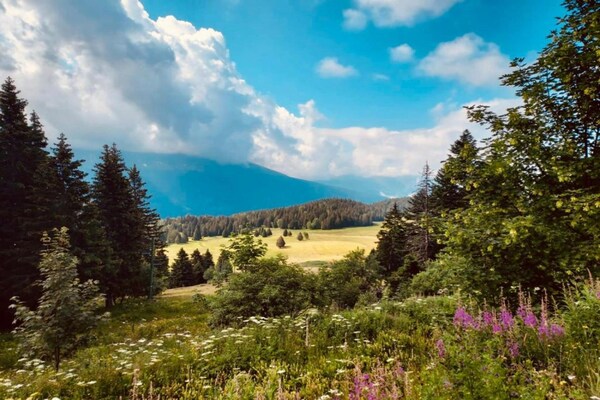 Foto van Alpine Comfort in Chamrousse - Vakantiehuis in Chamrousse - AreaSummer5KM