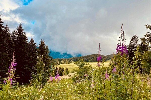 Foto van Alpine Comfort in Chamrousse - Vakantiehuis in Chamrousse - AreaSummer5KM