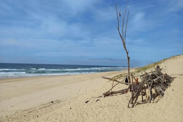 Foto van Appartement in Frankrijk met Balkon - Vakantiehuis in Moliets - AreaSummer20KM