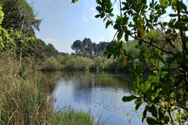 Foto van Appartement in Frankrijk met Balkon - Vakantiehuis in Moliets - AreaSummer20KM