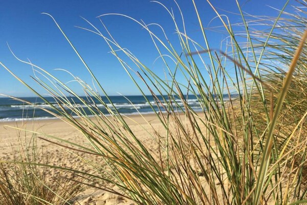 Foto van Appartement in Frankrijk met tuin - Vakantiehuis in Moliets et maa - AreaSummer20KM