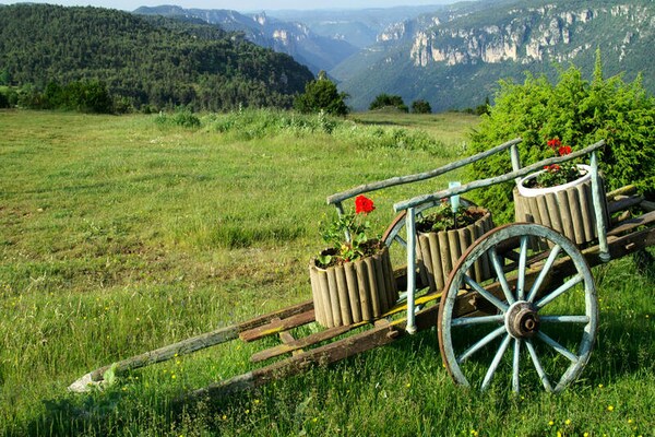 Foto van Gמte de France 4 personen - Vakantiehuis in LES VIGNES - 