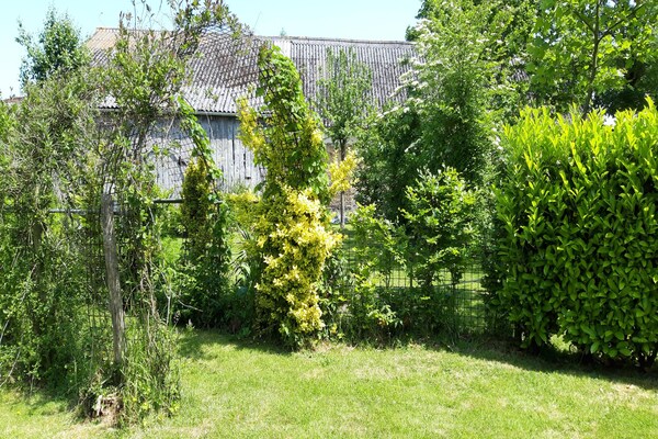 Foto van Tour de France Retreat - Vakantiehuis in Gouvets - Ambiance