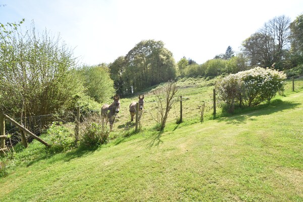 Foto van Familieverblijf in Normandië - Vakantiehuis in Sainte Cécile - AreaSummer1KM
