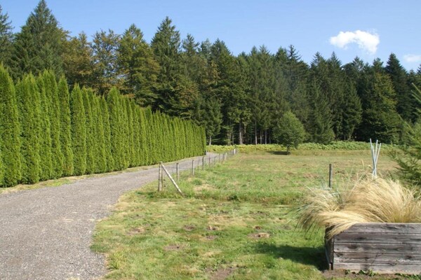 Foto van Saint-Quirin Tuinverblijf - Vakantiehuis in Saint-Quirin - AreaSummer20KM