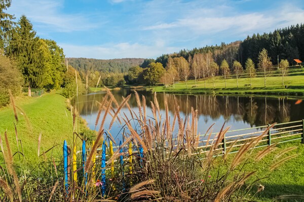 Foto van Romantisch verblijf in Saint-Quirin - Vakantiehuis in Saint-Quirin - AreaSummer5KM