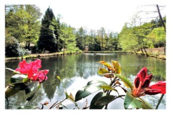 Foto van Romantisch verblijf in Saint-Quirin - Vakantiehuis in Saint-Quirin - AreaSummer20KM
