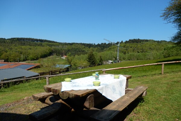 Foto van Vakantiehuis in Walscheid bij bos en meren - Vakantiehuis in Walscheid Eigenthal - TerraceBalcony