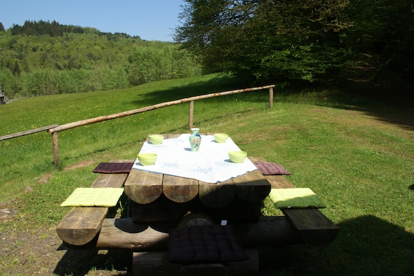 Foto van Vakantiehuis in Walscheid bij bos en meren - Vakantiehuis in Walscheid Eigenthal - GardenSummer