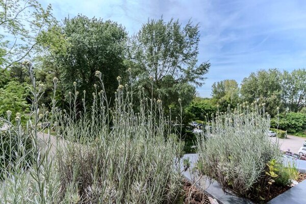 Foto van Appartement op ruiterpark Le Touquet - Vakantiehuis in Le Touquet-Paris-Plage - 