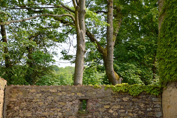 Foto van Cottage in Wierre-Effroy bij bos - Vakantiehuis in Wierre-Effroy (Londefort) - GardenSummer