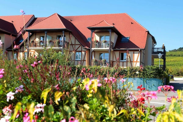 Foto van Appartement in Bergheim bij Elzas Wijngaarden - Vakantiehuis in Bergheim - ExteriorSummer