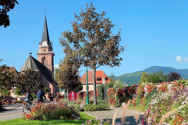 Foto van Appartement in Bergheim bij Elzas Wijngaarden - Vakantiehuis in Bergheim - AreaSummer1KM