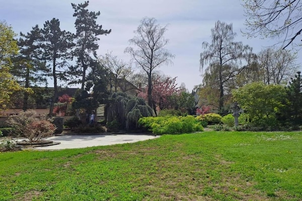 Foto van Appartement in Bergheim bij Elzas Wijngaarden - Vakantiehuis in Bergheim - AreaSummer5KM