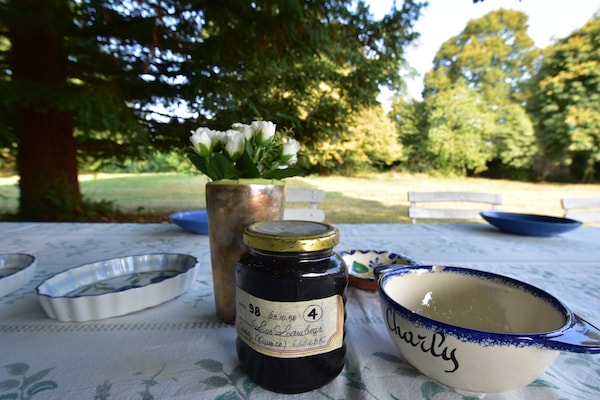 Foto van Huis in Bourgondië met Privézwembad - Vakantiehuis in Saint Aubin sur Loire - Ambiance
