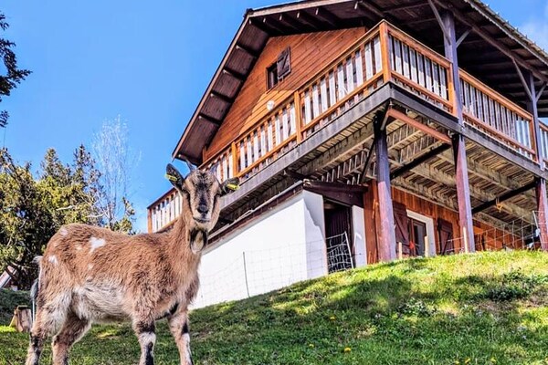 Foto van Prachtig chaletuitzicht op de Mont Blanc - Vakantiehuis in Pugny-Chatenod - 