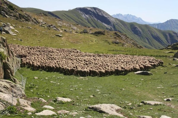Foto van Appartement in Saint-Sorlin bij skiresort - Vakantiehuis in Saint-Sorlin-d´Arves - AreaSummer20KM