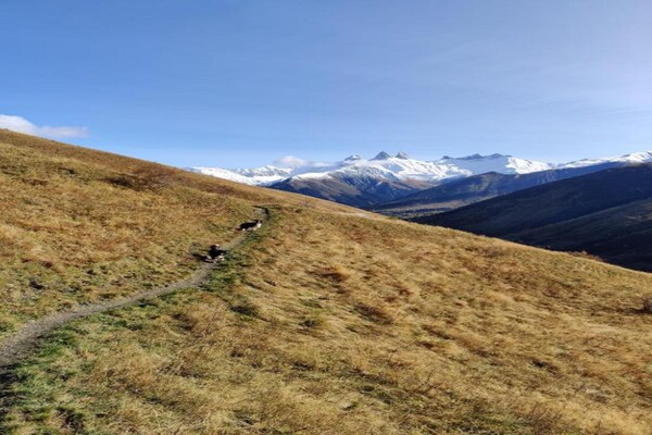 Foto van Appartement in Saint-Sorlin bij skigebied - Vakantiehuis in Saint-Sorlin-d´Arves - AreaSummer20KM