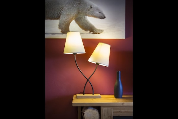 Foto van Appartement in Sainte-Foy bij Skiliften - Vakantiehuis in Sainte-Foy Tarentaise - Ambiance