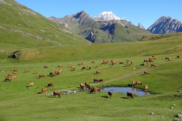 Foto van Ruim skichalet met zwembad - Vakantiehuis in Montvalezan - La Rosiere - AreaSummer20KM