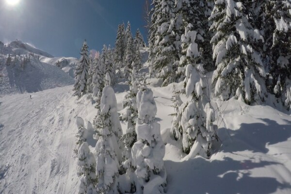 Foto van Budgetstudio (4 Personen) - Vakantiehuis in Avoriaz - ExteriorSummer