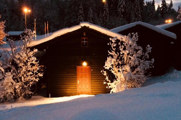 Foto van Chalets in Les Carroz-d'Arâches - Vakantiehuis in Les Carroz D'Arâches - ExteriorWinter