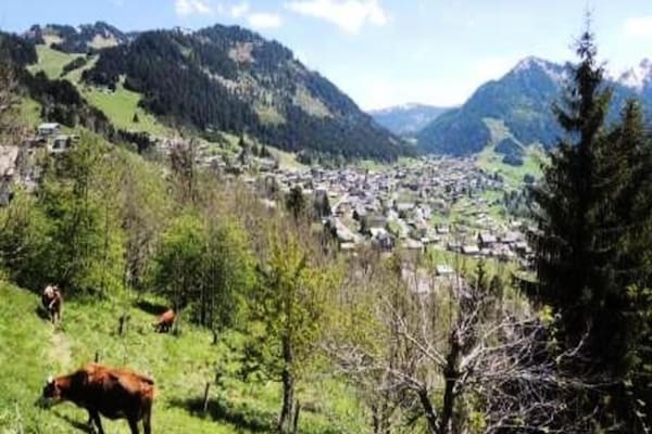 Foto van Barbessine-chalets - Vakantiehuis in CHATEL - ViewSummer
