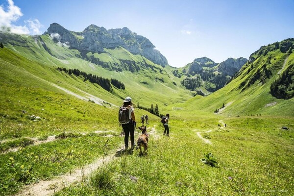 Foto van Appartement vlakbij skigebied Portes du Soleil - Vakantiehuis in Châtel - AreaSummer5KM