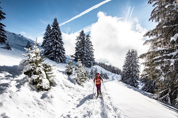 Foto van Jonquilles appartement voor 4 personen - Vakantiehuis in Châtel - AreaWinter20KM