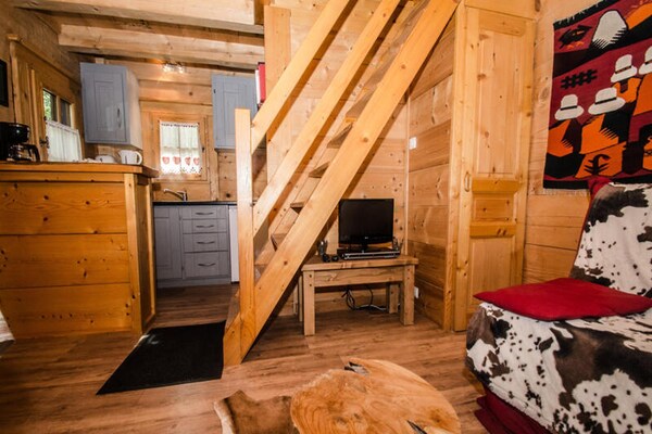 Foto van Chalets voor 3 personen - Vakantiehuis in CHAMONIX MONT BLANC - LivingRoom